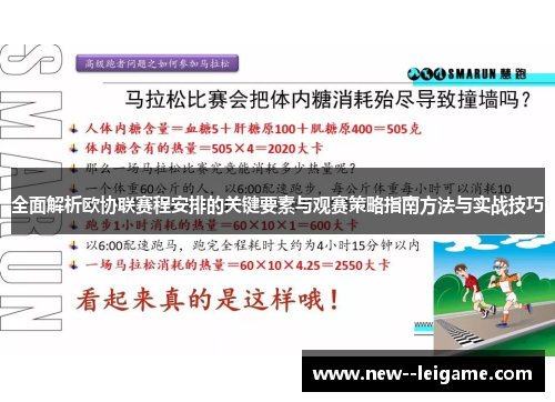 全面解析欧协联赛程安排的关键要素与观赛策略指南方法与实战技巧